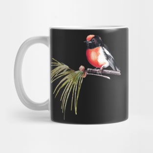 Scarlet Robin Mug